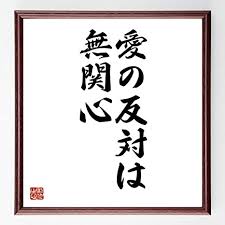 マザーテレサの名言、愛の反対は憎しみではなく無関心です。