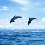 ◎ちょっと感動のいい話しと、すごく感動のいい話し。こころに安らぎを！