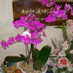 結婚記念日の気持ちは、形や言葉にあらわさなくては分からない・・・