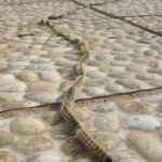 人生は楽しい？虚しい？充実していますか？生ることがむなしい・・・