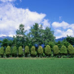 マザーテレサの祈りの内容がすごい！ちょっとひとやすみしませんか？