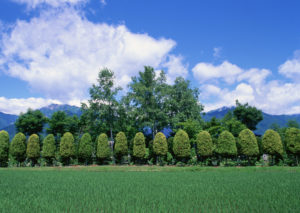 マザーテレサの祈りの内容がすごい！ちょっとひとやすみしませんか？