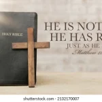 わたしが存在する意味と生きる目的は？創造論と進化論の違いとは？