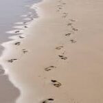 『あしあと（Footprints）』という詩の奇跡。