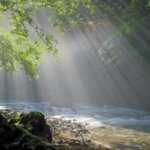 聖書通読 第5週7日目　今日は休んで“味わう日”