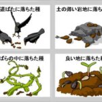 聖書通読　第３週　３日目　創世記３１章・創世記３２章・マタイ１３章