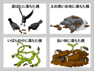 聖書通読 第3週 3日目 創世記31章・創世記32章・マタイ13章