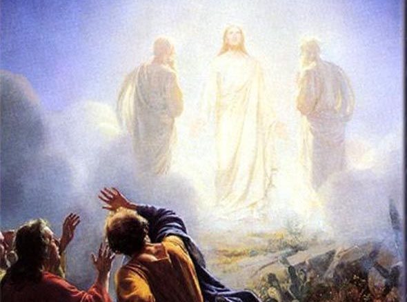 【聖書通読 第4週2日目】創世記42・43章マタイ17章 罪の記憶を揺らし、信頼を育て、栄光と現実を結ぶ主