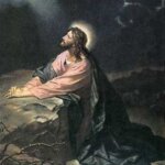 【聖書通読：第６週１日目】荒野のパンと水、そして主の苦しみの夜（出エジ16–17／マタイ26）