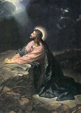 【聖書通読：第６週１日目】荒野のパンと水、そして主の苦しみの夜（出エジ16–17／マタイ26）