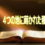 神様の願いは、「わたしが幼子のような信仰でひたむきに歩む」ことです。