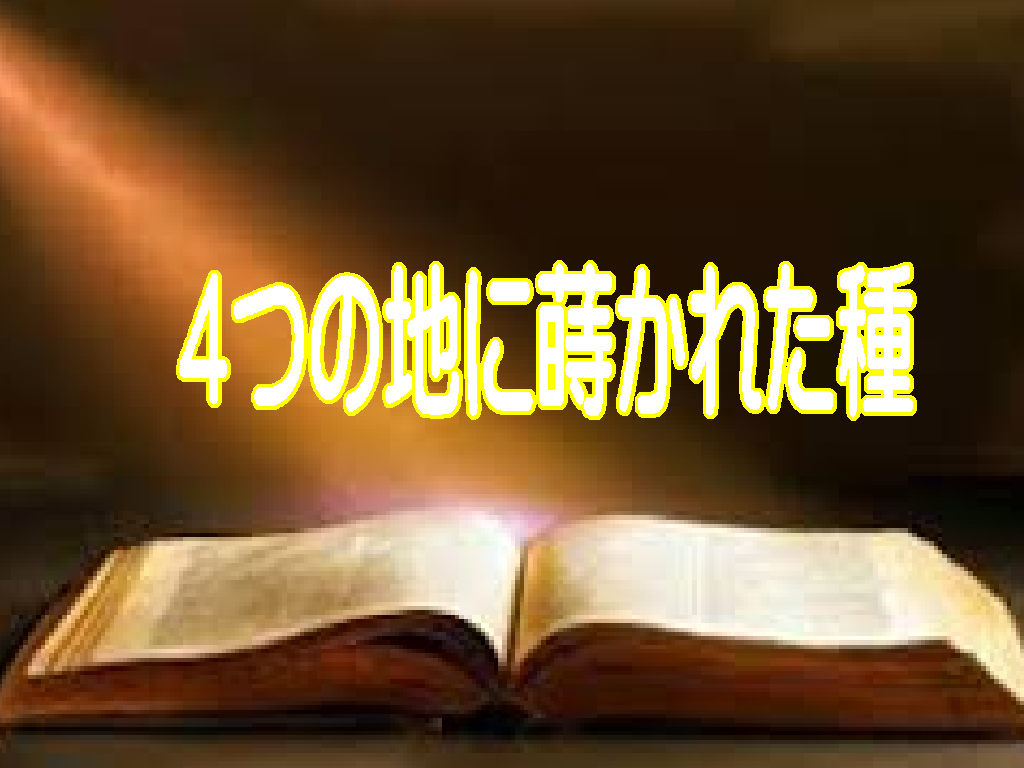 神様の願いは、「わたしが幼子のような信仰でひたむきに歩む」ことです。