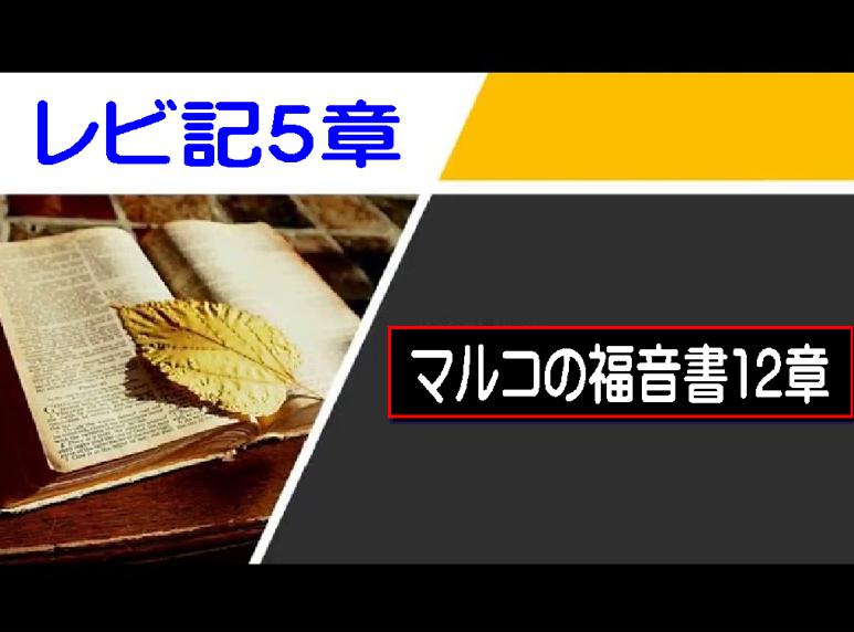 【聖書通読 第8週5日目】告白から始まる赦し、愛から始まる信仰(レビ記5章/マルコ12章)