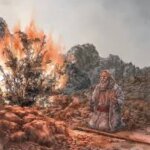 聖書通読 第5週1日目｜出エジプト記3章・4章／マタイ21章