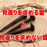 【伝道メッセージ】わたしの愛は見返りを求める愛、神様の愛は見返りを求めない愛