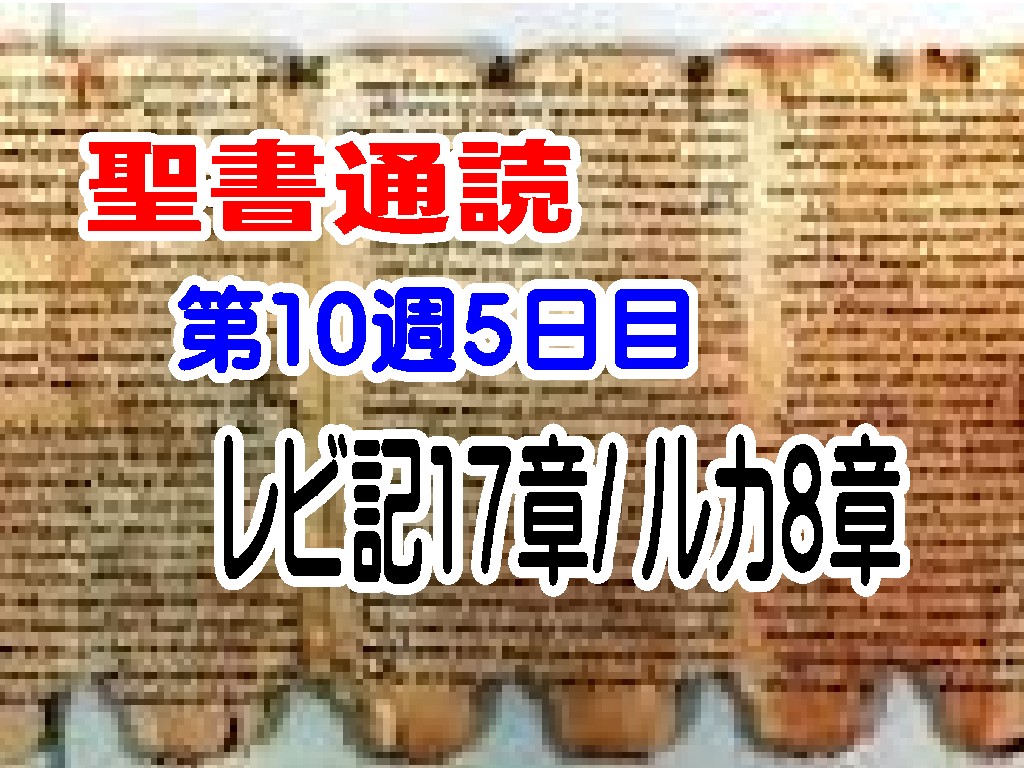 【聖書通読 第10週第5日目】いのちは血にある。恐れを越えて、主に聞き従う道（レビ17／ルカ8）