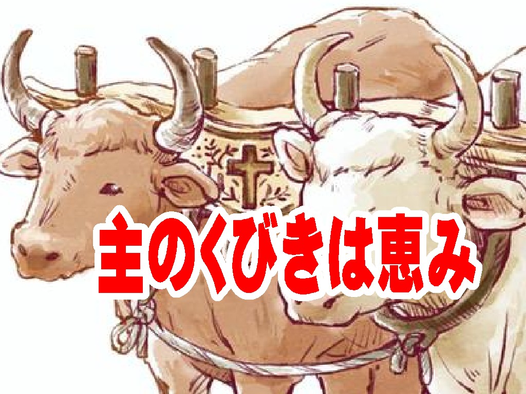 重荷が軽くなる秘訣は「主のくびき」だった——イエス様と同じ向きを向いて歩む恵み（マタイ11:28-30）