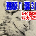 （聖書通読 第11週3日目）「聖さは、恐れを手放す力になる」神に属して生きる一日（レビ21／ルカ12）