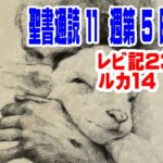 【聖書通読：第１１章５日目】神の時間に戻る。恵みの宴に応答する（レビ23／ルカ14）