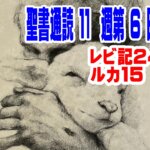 【聖書通読第１１週６日目】消えない光と、帰り道の父。神は今日も私を迎え直す（レビ24／ルカ15）