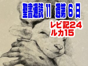 【聖書通読第１１週６日目】消えない光と、帰り道の父。神は今日も私を迎え直す（レビ24／ルカ15）