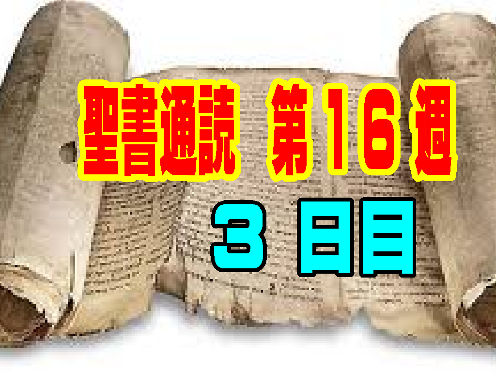 【聖書通読  第１６週３日目】「呪いにできない祝福。暗闇の逮捕の中でも揺れない王」民数記23章/ヨハネ18章