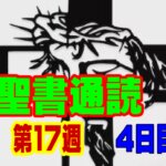 【聖書通読：第17週4日目】「言葉の重みと、揺るがない告白——『誰に聞き従うか』を定める日」（民数記30章／使徒の働き4章）