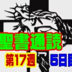 【聖書通読：第17週5日目】「内側を清め、外側の戦いに勝つ——主の聖さを握りしめる日」（民数記31章／使徒5章）