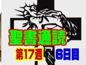 【聖書通読：第17週6日目】「一致を保つ配慮と、役割の分担——神の国の広がりを支える『愛の秩序』」