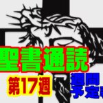 【聖書通読 第17週 週間予定表】イスラエルの新しい世代の歩み（民数記）と、初代教会のダイナミックな始まり（使徒の働き）