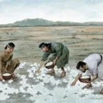 神様の恵みを当たり前にせず、日々新たにしていく秘訣 ― 民数記11章に学ぶ、感謝を失わない信仰 ―