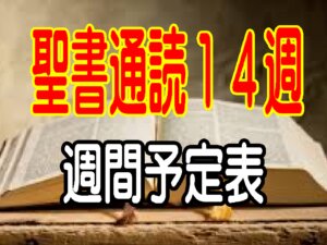 【聖書通読第14週 週間予定表】荒野の旅の中でも、主は導き、渇きを満たし、光を与えてくださる