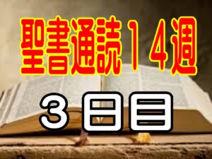 【聖書通読第14週 3日目】  人と比べずに主を見上げ、いのちのパンで満たされる（民数記12章/ヨハネ6章）