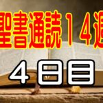 【聖書通読第14週 4日目】問題の大きさではなく、神様の大きさを見る信仰へ（民数記13章ヨハネ7章）