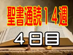 【聖書通読第14週 4日目】問題の大きさではなく、神様の大きさを見る信仰へ（民数記13章ヨハネ7章）