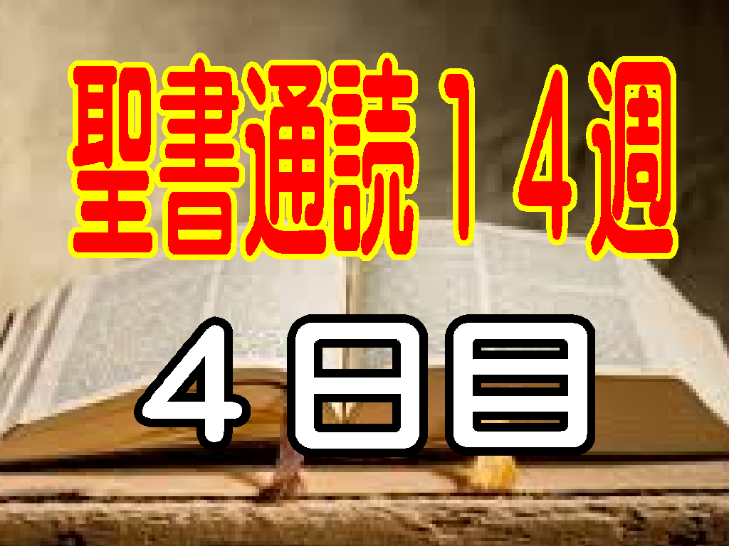 【聖書通読第14週 4日目】問題の大きさではなく、神様の大きさを見る信仰へ（民数記13章ヨハネ7章）