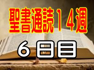 【聖書通読第14週 6日目】御言葉を忘れず、主によって目を開いていただく（民数記15章とヨハネ9章）