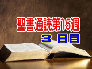 【聖書通読 第15週3日目】主が選ばれたしるしと、主を王として迎える道（民数記17章／ヨハネ12章）