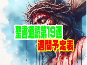 【聖書通読予定表】第19週（1日目〜6日目）申命記３章~使徒の働き１３章~
