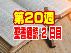 【聖書通読・第20週：二日目】「完璧を求めない神の優しさ — 『受けるより与える幸い』からの歩み」