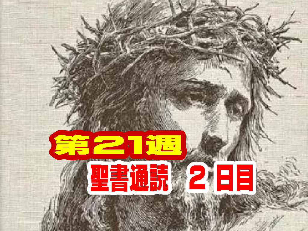 【聖書通読第21週2日目解説】恵みの分かち合いと、暗闇に光を届ける使命(申命記16章と使徒の働き 26章)
