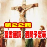 聖書通読予定表（第22週）申命記21章~26章　ローマ人への手紙3章~8章