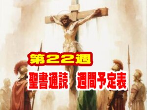 聖書通読予定表(第22週)申命記21章~26章 ローマ人への手紙3章~8章