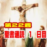 【聖書通読 第22週1日目】命の尊厳と、すべての人を覆う無代価の恵み