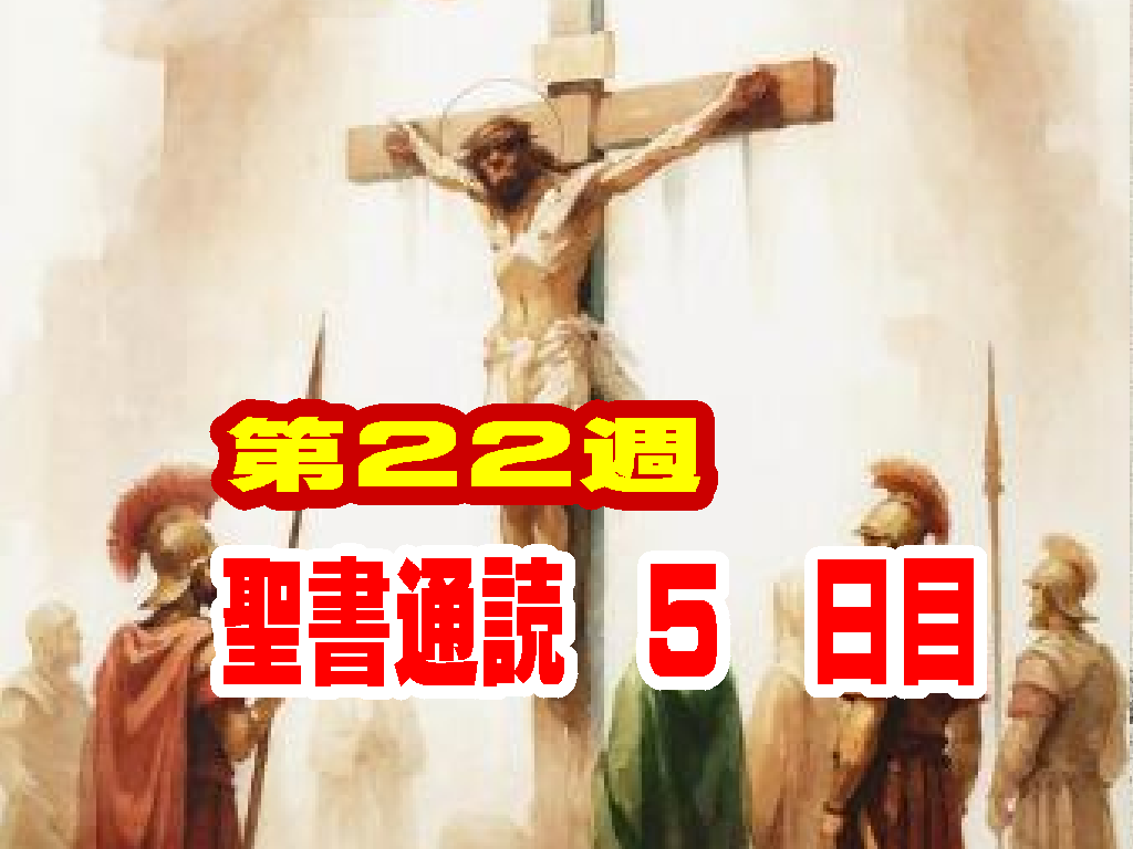 【聖書通読 第22週5日目】罪人の尊厳を守る正義と、内なる葛藤からの完全な解放(申命記25章ローマ7章)