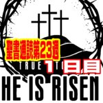 【聖書通読 第23週1日目】契約の石と、神の主権的なあわれみ（申命記27章ローマ9章）