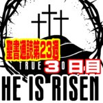 【聖書通読 第23週3日目】新たな契約の更新と、接ぎ木された異邦人の恵み（申命記29章ローマ11章）