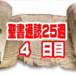 【聖書通読 第25週 4日目】敗北からの立ち直りと、正しい知識よりも優先される「愛の配慮」