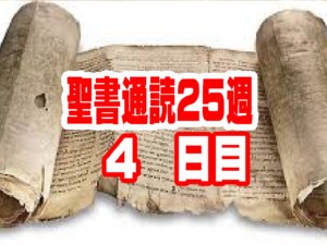 【聖書通読 第25週 4日目】敗北からの立ち直りと、正しい知識よりも優先される「愛の配慮」
