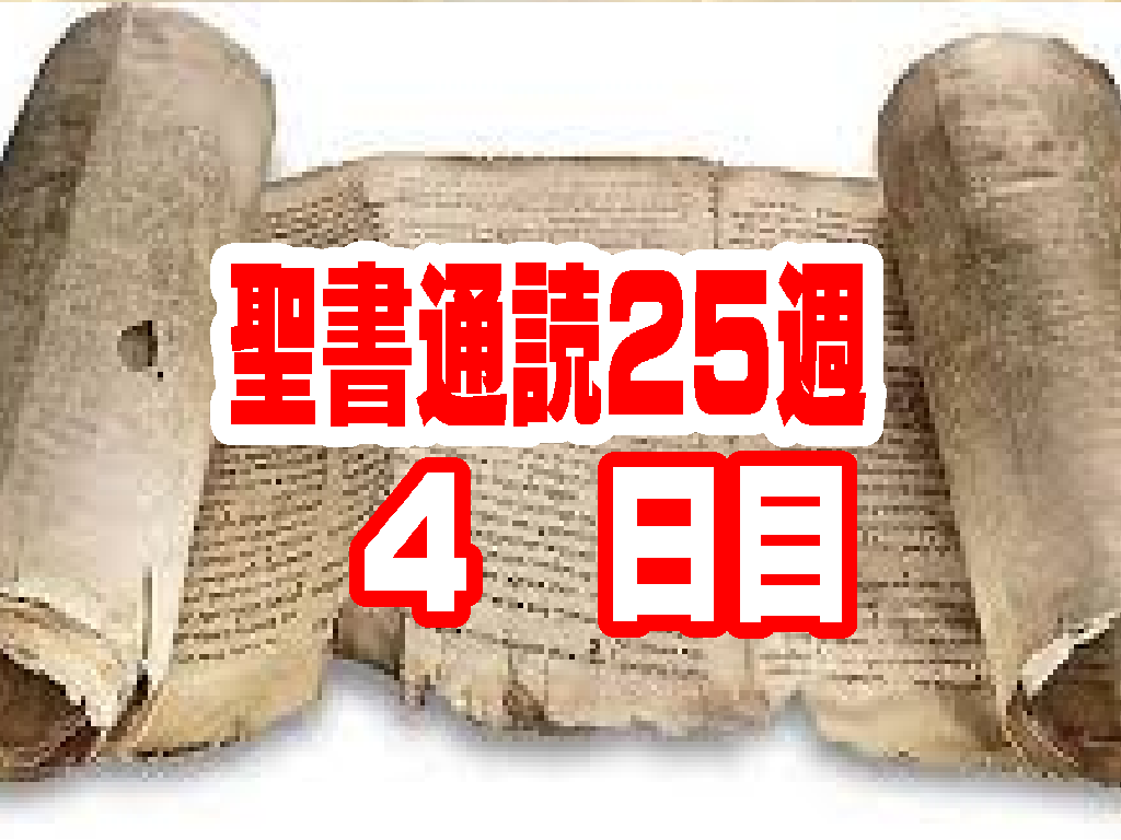 【聖書通読 第25週 4日目】敗北からの立ち直りと、正しい知識よりも優先される「愛の配慮」